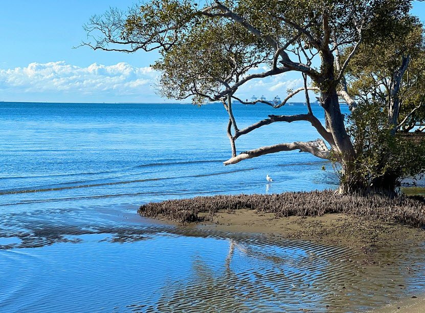 Nudgee Beach, Australia